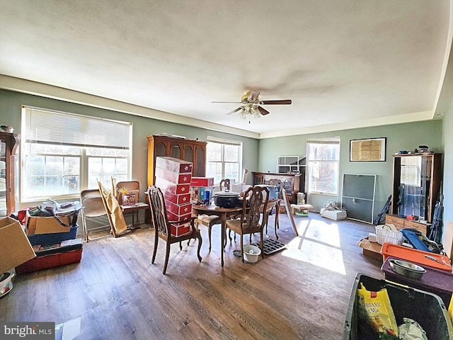 42 Mulberry Dr, Delta, PA 17314 - dining space with wood finished floors and ceiling fan