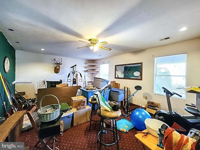 exercise room featuring ceiling fan and plenty of natural light