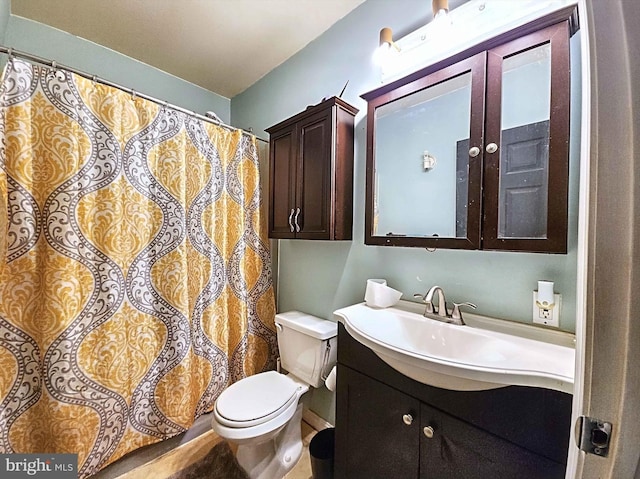 bathroom with toilet and vanity