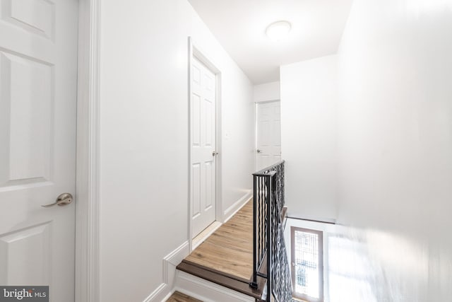 stairs with hardwood / wood-style flooring