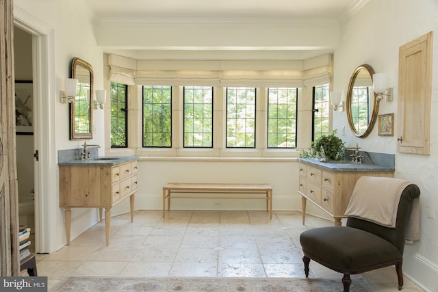 bathroom with ornamental molding, vanity, and a healthy amount of sunlight