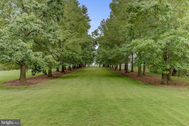 1601 Brintons Bridge Rd, Chadds Ford, PA 19317 - view of yard
