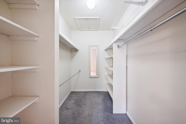 walk in closet featuring dark colored carpet