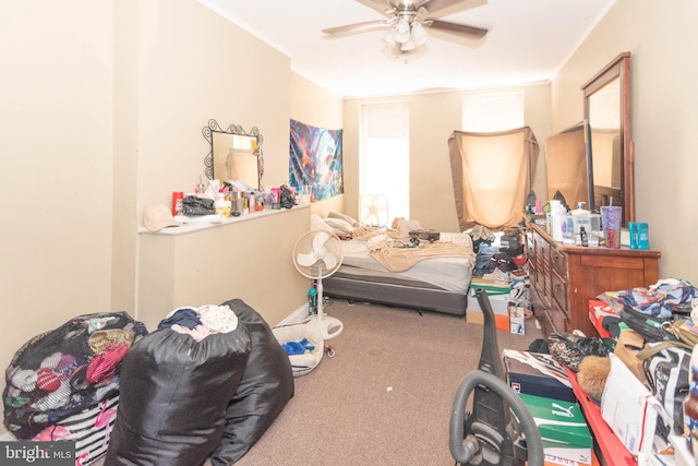 carpeted bedroom featuring ceiling fan and crown molding