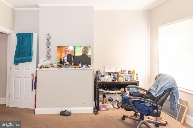 office featuring ornamental molding and carpet