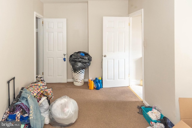 recreation room with carpet floors