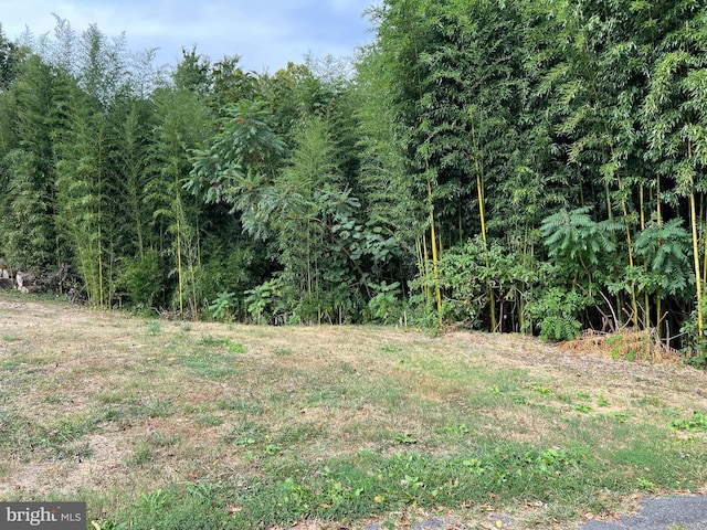 view of nature