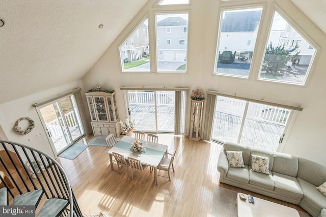 interior space featuring high vaulted ceiling, light hardwood / wood-style floors, and a textured ceiling