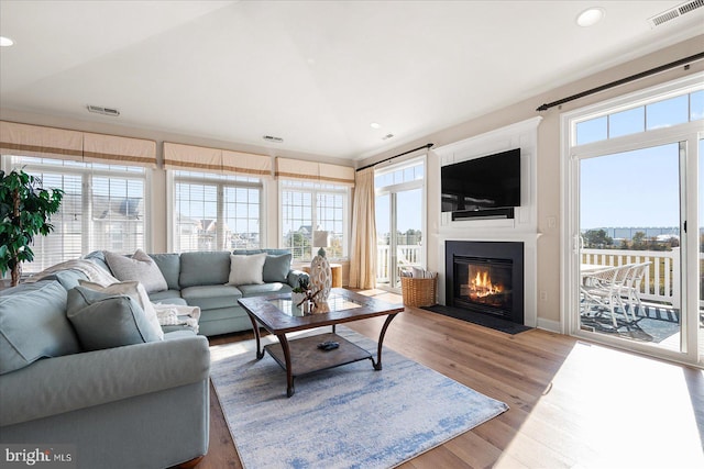 living room with light hardwood / wood-style floors and a healthy amount of sunlight