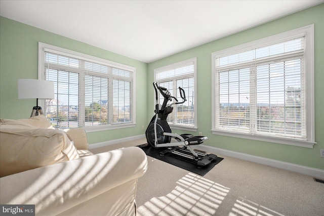 exercise area featuring a healthy amount of sunlight and carpet flooring