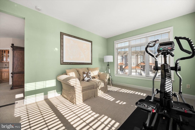 workout room featuring carpet