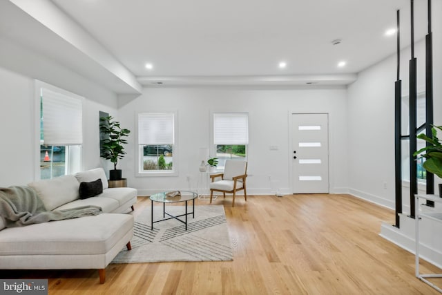 living room featuring light hardwood / wood-style floors