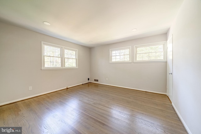 empty room featuring a wealth of natural light and wood-type flooring