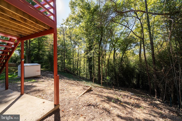 view of yard featuring a patio and a storage unit