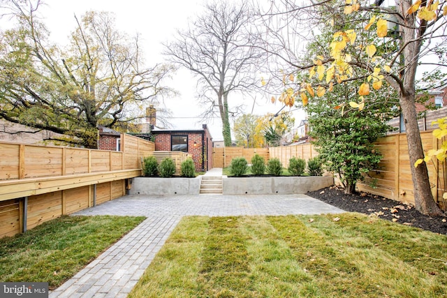 view of yard featuring a patio