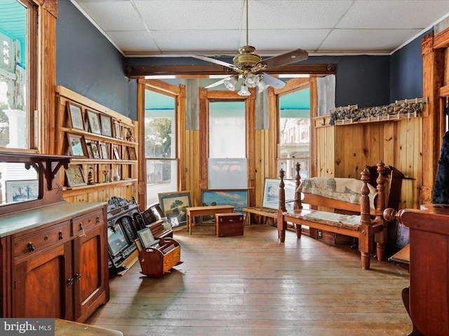 sitting room with ceiling fan, a healthy amount of sunlight, a drop ceiling, and light wood-type flooring