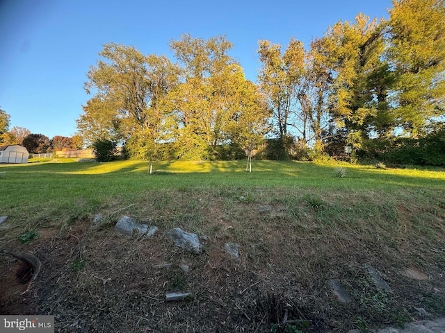 view of yard with a storage shed