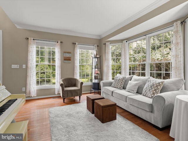 211 Glyndon Meadow Rd, Reisterstown, MD 21136 - living area with ornamental molding, wood finished floors, and baseboards