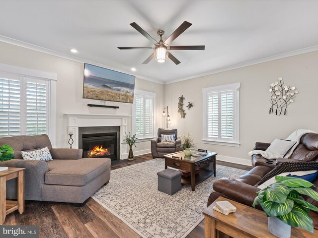 living room featuring ceiling fan, dark hardwood / wood-style flooring, and ornamental molding