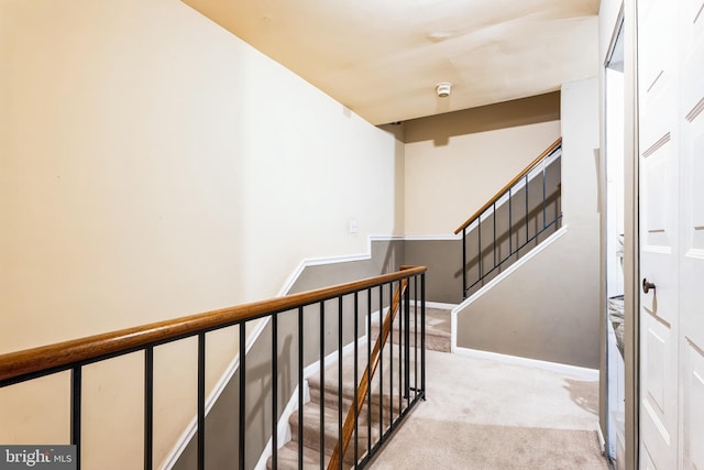 staircase with carpet flooring