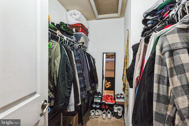 spacious closet with attic access