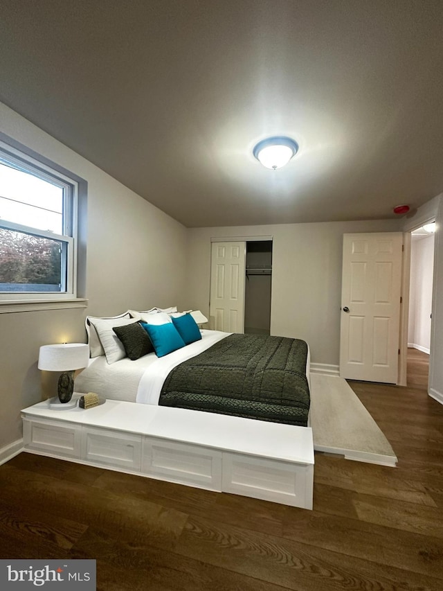 bedroom with a closet and dark hardwood / wood-style flooring