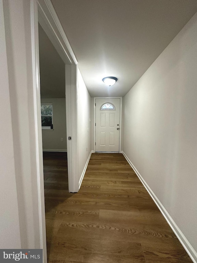 entryway featuring dark hardwood / wood-style flooring