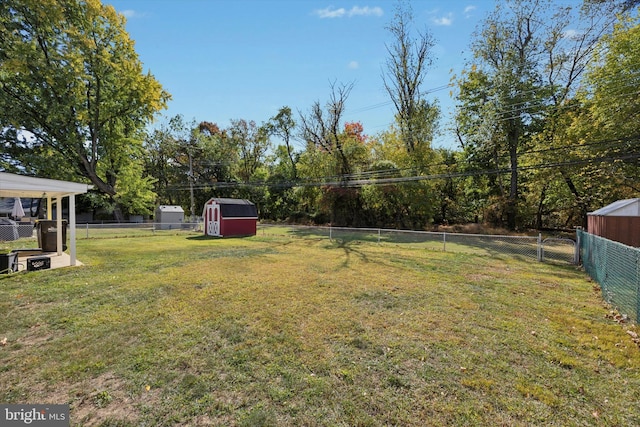 view of yard featuring a storage shed