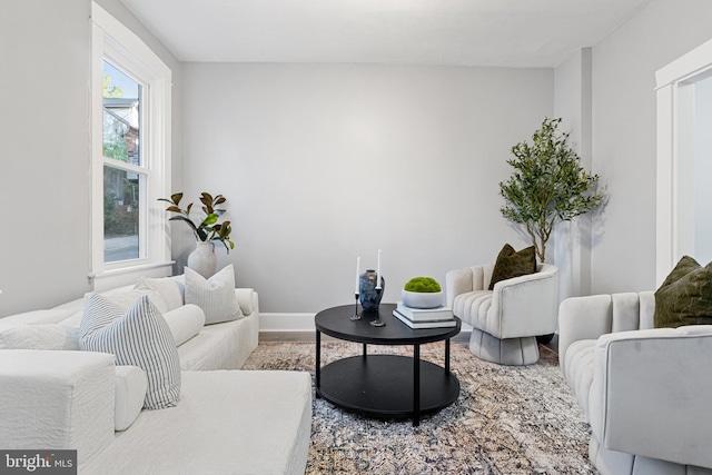 living room featuring hardwood / wood-style floors