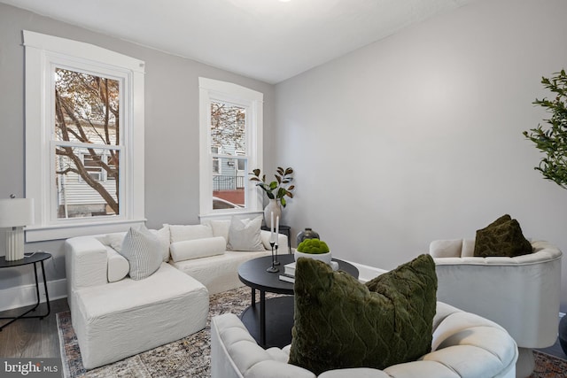 living room with a wealth of natural light and wood-type flooring