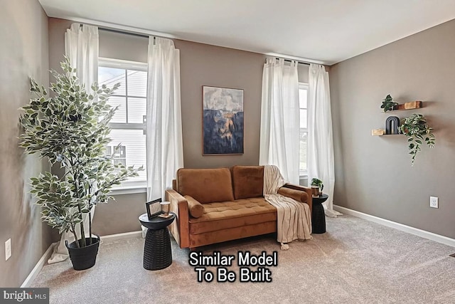 sitting room with carpet flooring