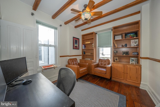 office space featuring a wealth of natural light, beamed ceiling, dark hardwood / wood-style floors, and ceiling fan