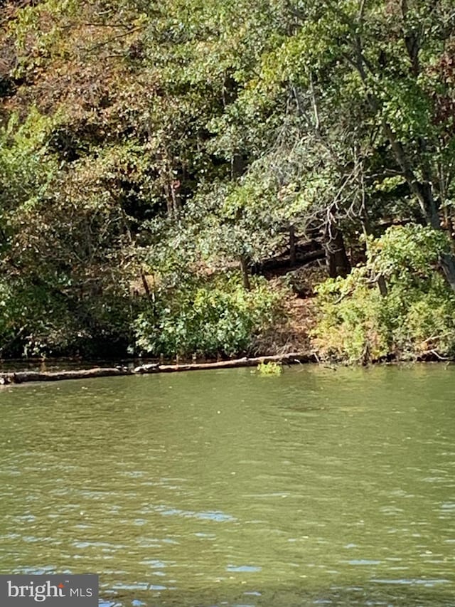 view of water feature