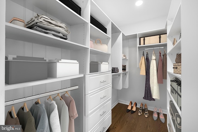 walk in closet featuring dark hardwood / wood-style flooring