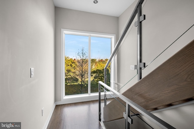 interior space featuring a barn door, plenty of natural light, and wood-type flooring