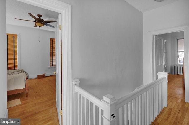 hallway with radiator and light hardwood / wood-style flooring