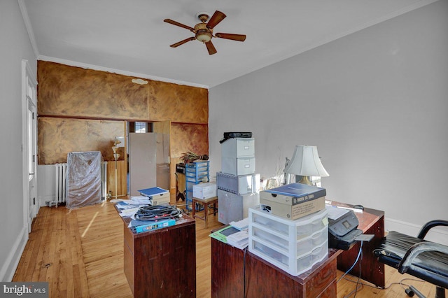 office space featuring crown molding, light hardwood / wood-style flooring, and ceiling fan