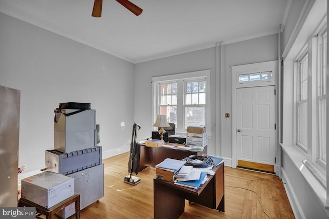 161 W High St, Womelsdorf, PA 19567 - office with ornamental molding, a ceiling fan, and light wood-type flooring