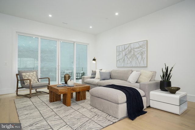 living room featuring light hardwood / wood-style flooring