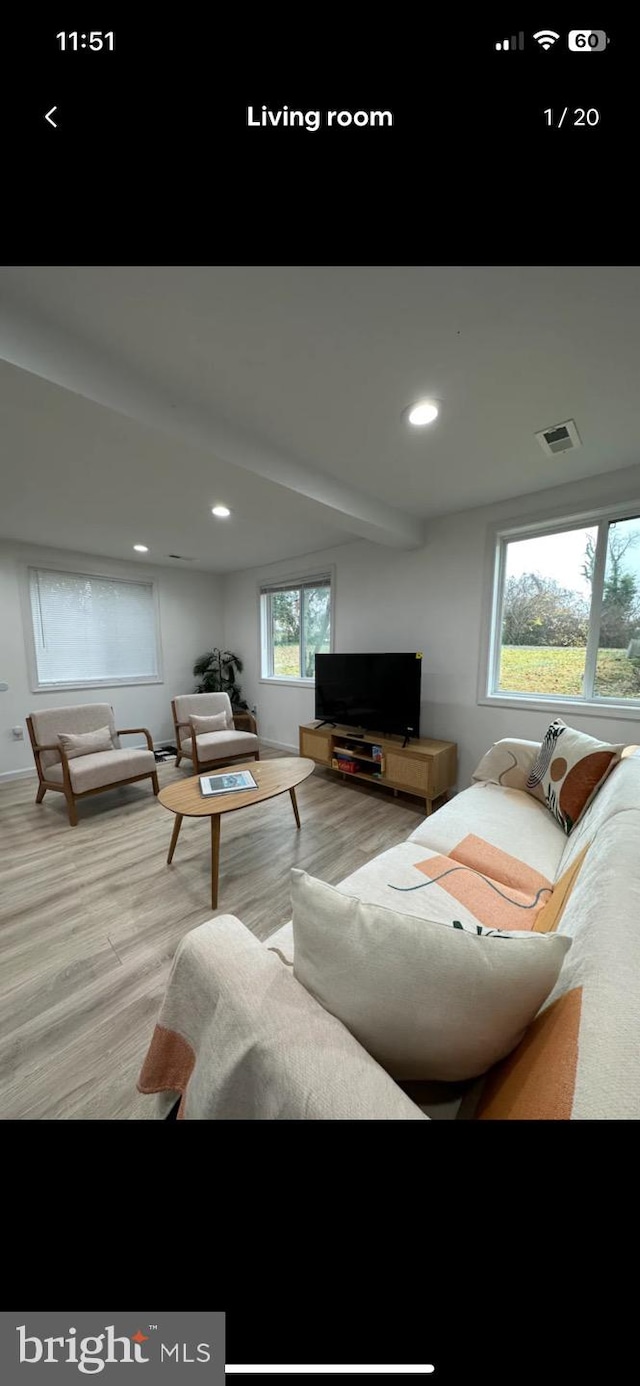 living room featuring hardwood / wood-style flooring