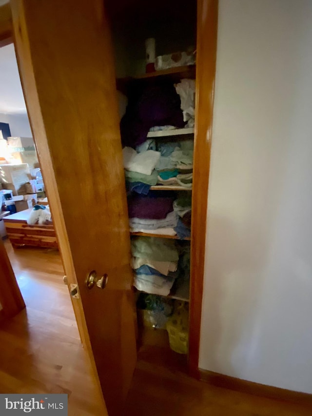 view of closet