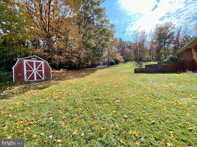 view of yard with a storage shed