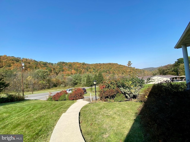 view of yard with a mountain view