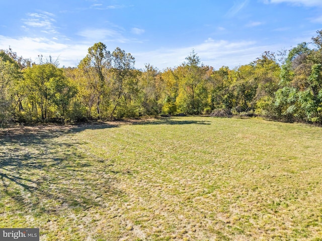 view of yard with a wooded view