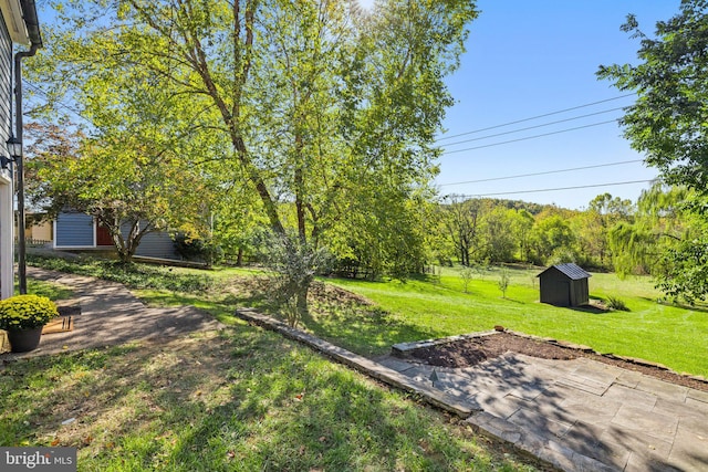 view of yard with an outbuilding and a storage unit