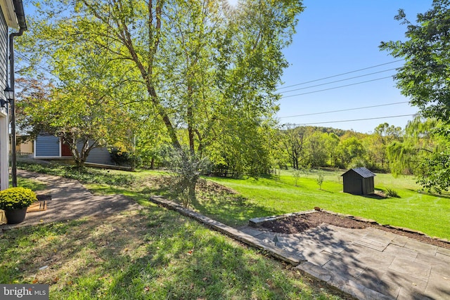 view of yard with a storage shed