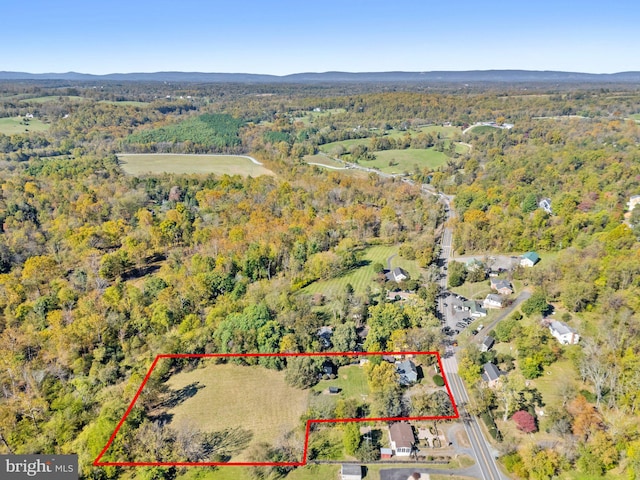 drone / aerial view with a forest view
