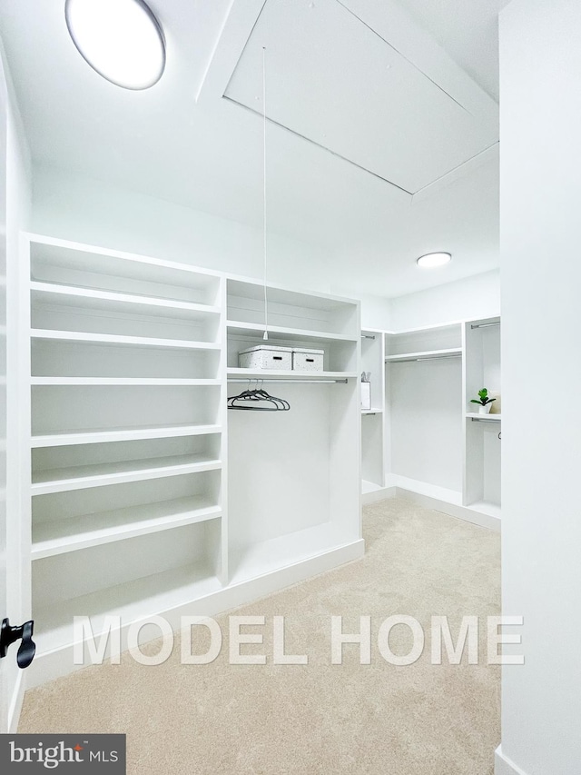 spacious closet with carpet and attic access