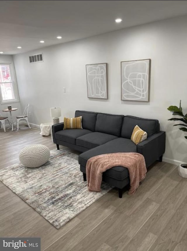 living room with hardwood / wood-style floors