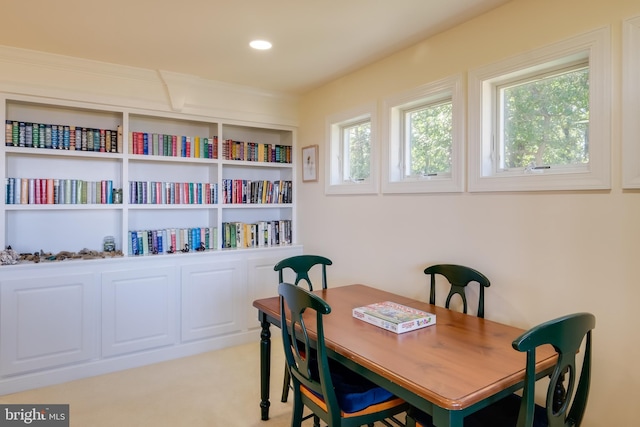 interior space with light colored carpet